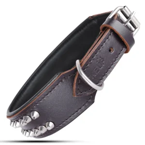 Dog Collar Manufacturer in Pakistan